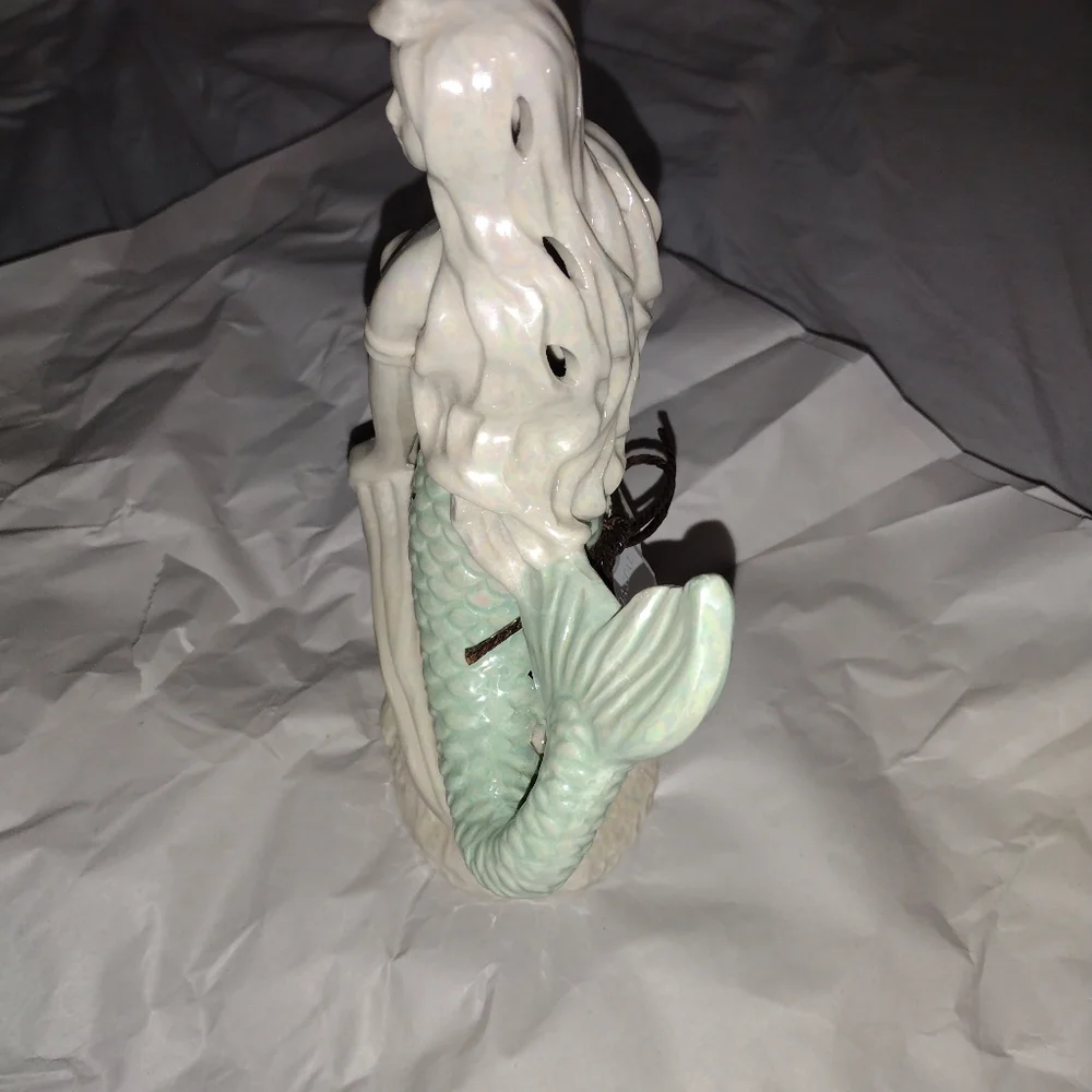 diffuser - Picture 3 of 9
